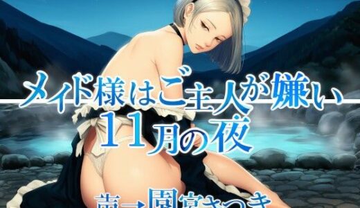 【2025-11-30発売】メイド様はご主人が嫌い  11月の夜【d_701933】【近未来のふわふわ】