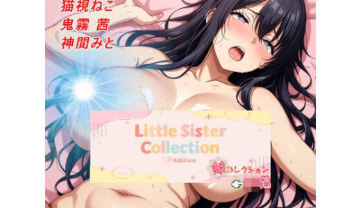 【2025-11-29発売】妹コレクション【JK編】【d_702507】【リアルインパクト】