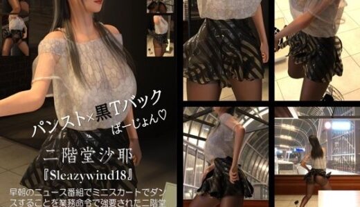 【2025-11-19発売】【chrl100】二階堂沙耶の下着モデル写真集-Sleazywind-18c【d_702746】【Libido-Labo】