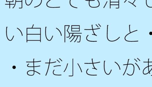 【2025-11-18発売】朝のとても清々しい白い陽ざしと・・まだ小さいがある日常か過去かはっきり分からない邪念の残り香【d_703091】【サマールンルン】