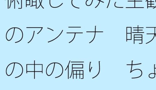 【2025-11-20発売】俯瞰してみた主観のアンテナ  晴天の中の偏り  ちょっと前に外で客観視【d_703812】【サマールンルン】