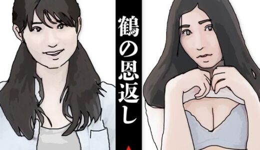 【2025-11-24発売】鶴の恩返し【d_705230】【あいうえ男】