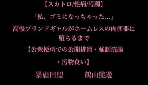【2025-11-29発売】【スカトロ/性病/汚濁】「私、ゴミになっちゃった…」高慢ブランドギャルがホームレスの肉便器に堕ちるまで【公衆便所での公開排泄・強●浣腸・汚物食い】【d_706567】【暴虐同盟】