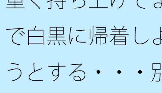 【2025-11-30発売】重く持ち上げてまで白黒に帰着しようとする・・・別のところに要点はあることを・・【d_707282】【サマールンルン】