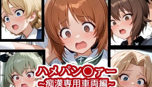 【2025-06-12発売】ハメパン〇ァー〜痴●専用車両編〜【d_599564】【バークライトワークス】