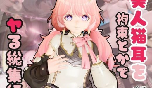 【2025-12-22発売】【総集編】鳴潮アンコ（Encore）が画面からでてきたり調教受けたりする特大4動画パック【d_683822】【異世界転生】