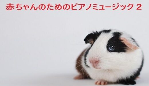 【2025-12-20発売】○ちゃんのためのピアノミュージック2【d_702901】【音小屋】