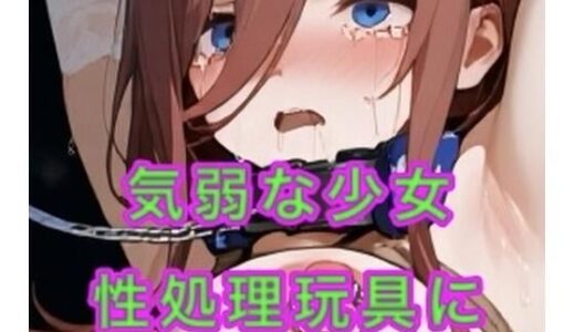 【2025-12-09発売】気弱な少女が性処理玩具に堕ちる【d_703753】【妄想空間】