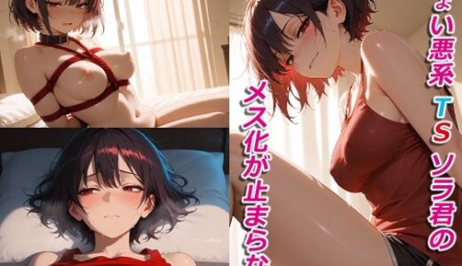 【2025-12-02発売】ちょい悪系 TS ソラ君のメス化が止まらない【d_704145】【AIシコリえっち】