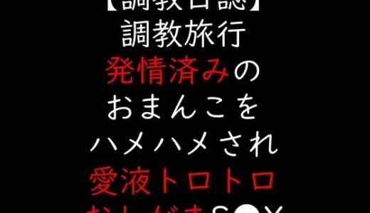 【2025-12-12発売】調教旅行  発情済みのおまんこをハメハメされ愛液トロトロおしがまS●X【d_706425】【moon cat】