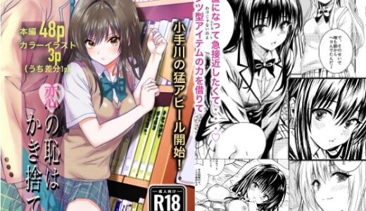 【2025-12-23発売】小手川●ファンブック『恋の恥はかき捨て』【d_708346】【くじら梟】