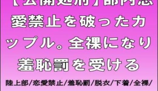 【2025-12-06発売】【公開処刑】部内恋愛禁止を破ったカップル。全裸になり羞恥罰を受ける【d_709038】【CMNFリアリズム】