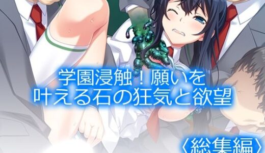 【2025-12-15発売】学園浸触！願いを叶える石の狂気と欲望 ＜総集編＞【d_711203】【アロマコミック】