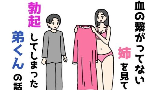 【2025-12-21発売】血の繋がってない姉を見て勃起してしまった弟くんの話【d_712368】【ニホンツノ王】