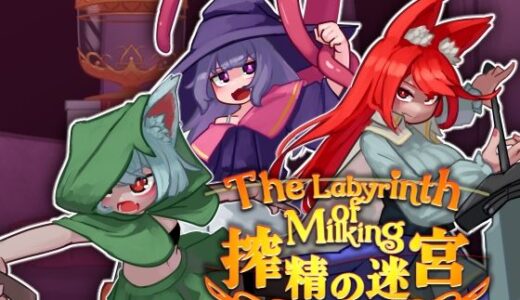 【2025-12-26発売】搾精の迷宮【d_712382】【バンカラ傾奇屋】