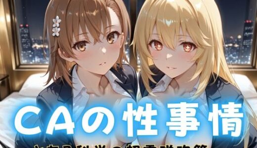 【2025-12-16発売】CAの性事情  ― パイロット専用の肉体奉仕  とある科学の超電磁砲編【d_712420】【ぶっかけ太郎】