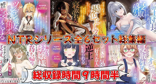 【2026-01-01発売】（新年限定割引）NTRシリーズ全6セット【d_709323】【おにぎり本舗】