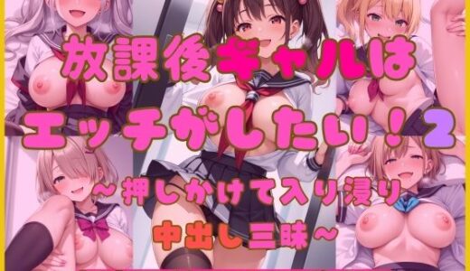 【2026-01-07発売】放課後ギャルはエッチがしたい！2〜押しかけ入り浸り中出し三昧〜【d_718412】【Cherry Palette】