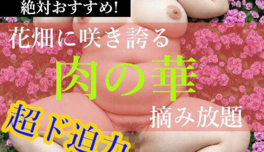 【2026-01-13発売】ぽっちゃり娘【肉の華】【d_719267】【幽霊倶楽部】