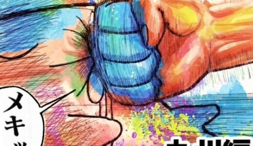 【2026-01-22発売】舐めた犬まとめ本【九州編】【d_719945】【舐めた犬】