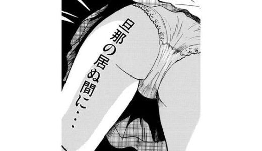 【2026-01-11発売】旦那の居ぬ間に・・・【d_720703】【ナンネット】