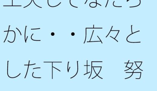 【2026-01-12発売】工夫してなだらかに・・広々とした下り坂  努力の割にははるか向こうの急角度が【d_721939】【サマールンルン】