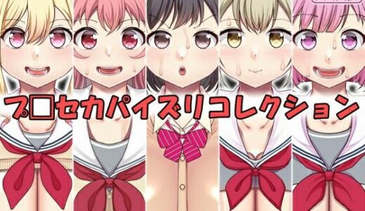 【2026-01-13発売】パイズリコレクション プ〇セカ編【d_722136】【上倉庫】