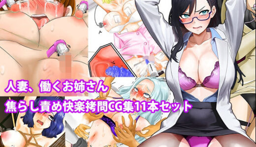 【2026-01-16発売】人妻、働くお姉さん焦らし責め快楽拷問CG集11本セット【d_723400】【淫乱テディベア】