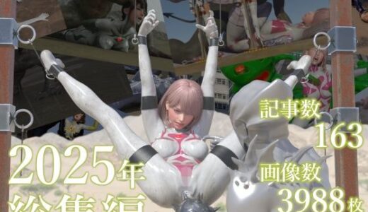 【2026-01-24発売】tsumayoji研究所 2025年 総集編【d_724968】【tsumayoji研究所】