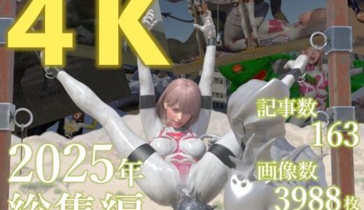 【2026-01-24発売】tsumayoji研究所 2025年 総集編 ［4K version］【d_724972】【tsumayoji研究所】