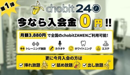 【2026-01-26発売】【第一弾】チョビっト24 『チョビット24ご加入の会員様はいつでもすべてのサービスがご利用が可能です（はーと）』【d_725247】【ねこの穴】