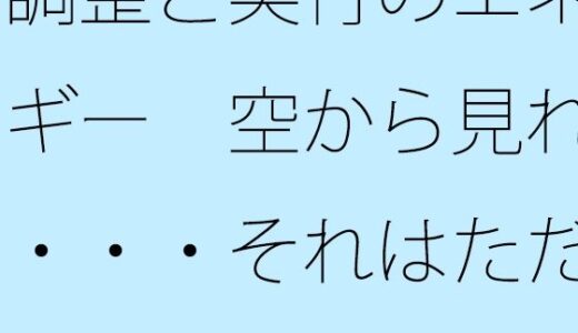 【2026-01-27発売】調整と実行のエネルギー  空から見れば・・・それはただの障壁【d_727291】【サマールンルン】