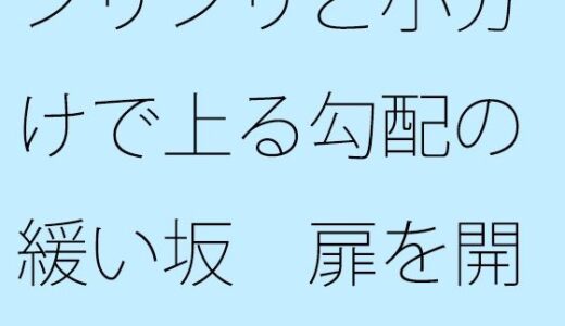【2026-01-29発売】ジリジリと小分けで上る勾配の緩い坂  扉を開くと戻れる現状認識ではあるが【d_727941】【サマールンルン】