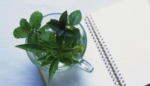 【2026-01-30発売】おむつ現役JK作家の最期【d_728464】【リョナの監獄】