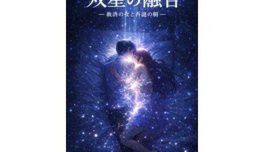 【2026-01-30発売】双星の融合 ― 救済の夜と再誕の朝 ―【d_728574】【感情の保管庫】