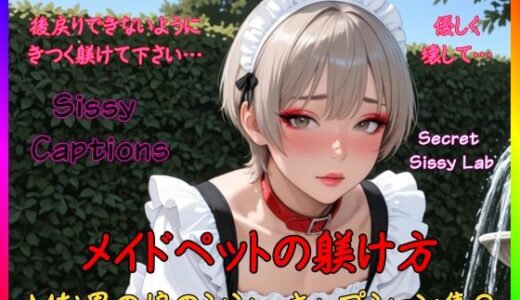 【2026-02-02発売】Sissy Captions Mな男の娘のシシーキャプション集2 メイドペットの躾け方 後戻りできないようにきつく躾けて下さい… 優しく壊して…【d_726388】【Secret Sissy Lab】