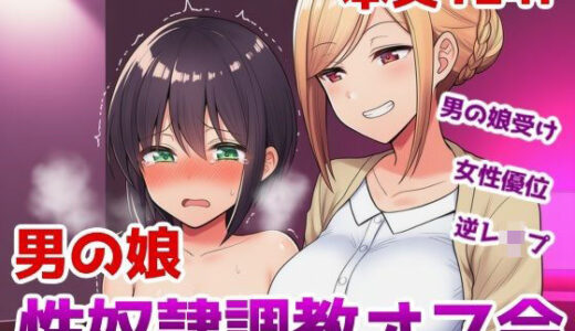 【2026-02-03発売】男の娘性奴●調教オフ会〜男の娘がゲームで知り合ったお姉さんに快楽調教されて肉バイブ性奴●にジョブチェンジさせられちゃう話【d_727145】【saltワークス】