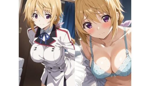 【2026-02-13発売】シャルロット・デュノアイラスト集1【d_731850】【freezereplay】